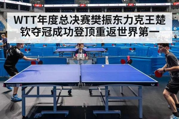 WTT年度总决赛樊振东力克王楚钦夺冠成功登顶重返世界第一